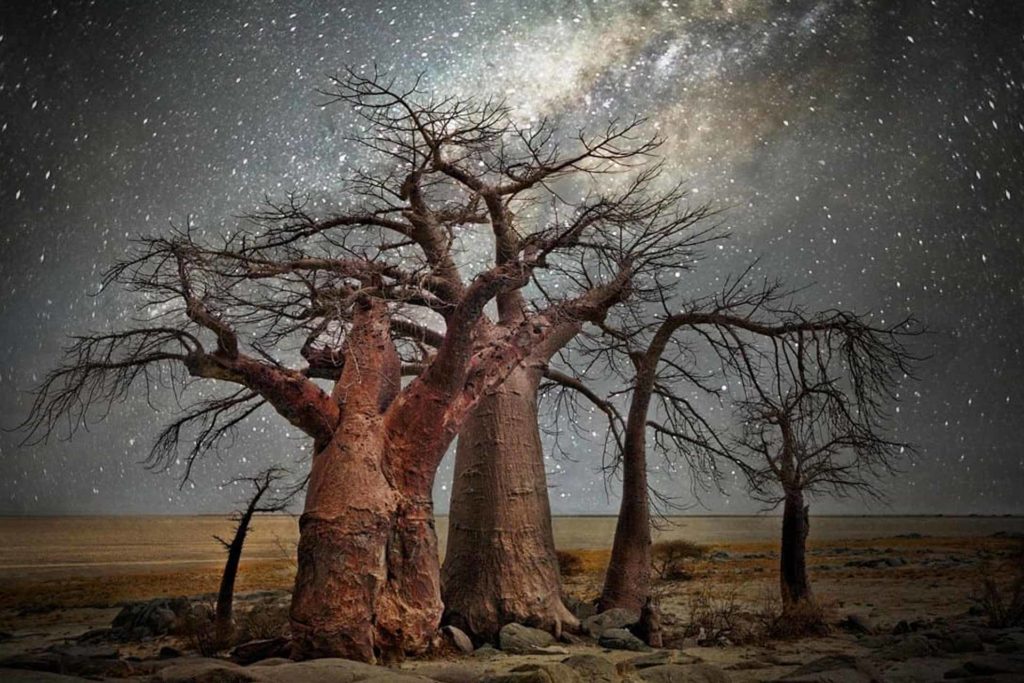 Beth Moon